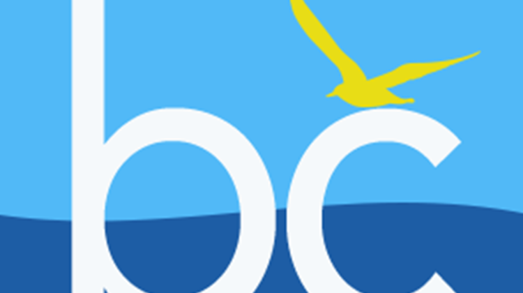 Website Design for Ocean City MD Businesses<}}